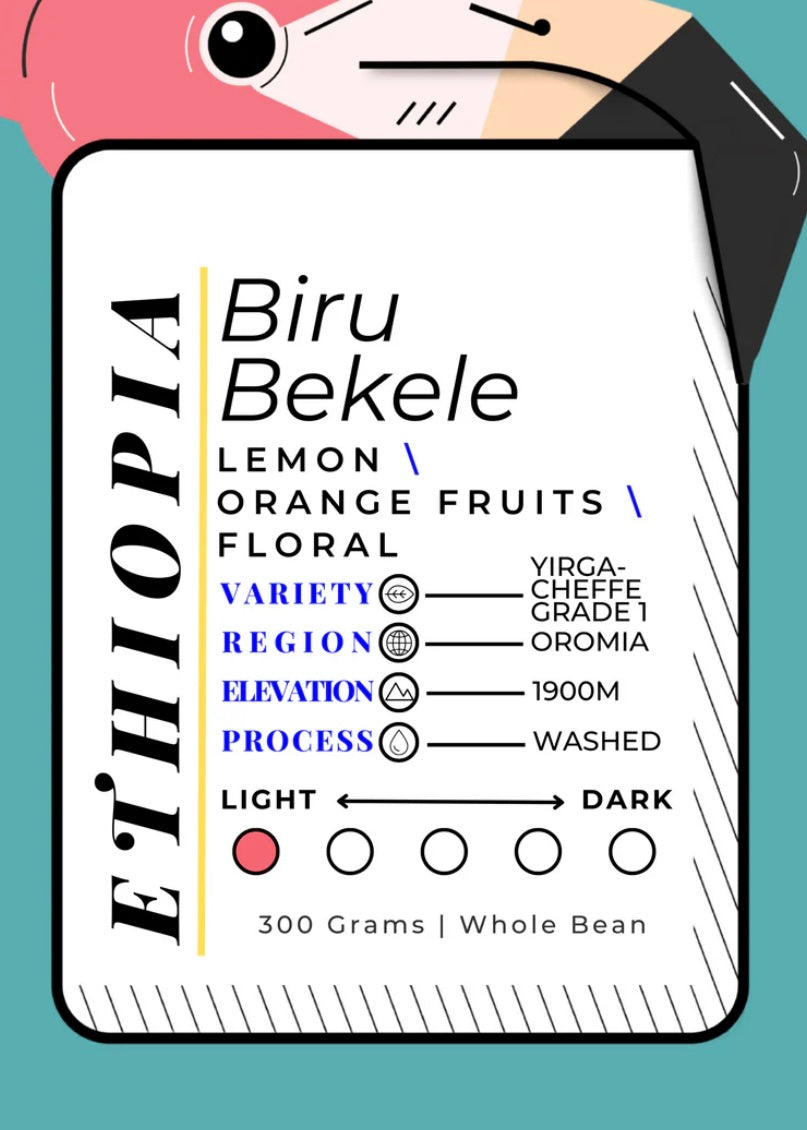 ETH\OPIA | Biru Bekele