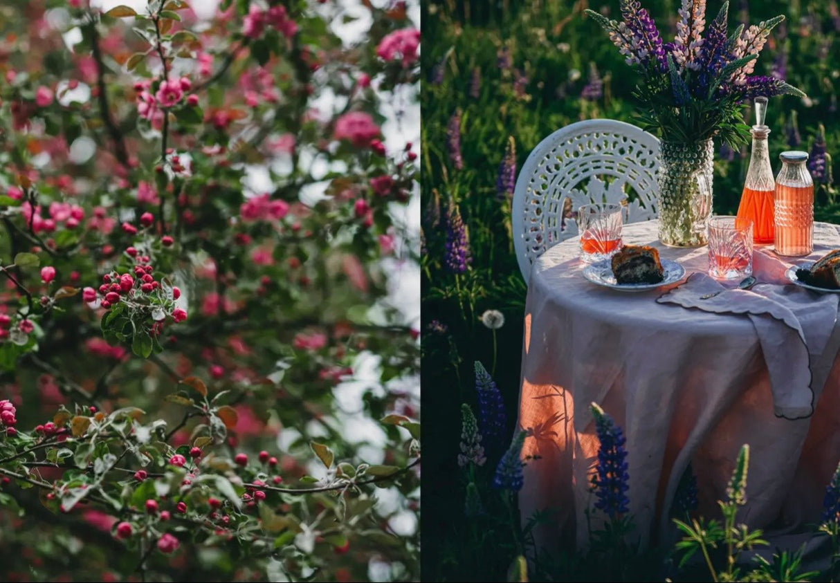 Nordic Summer Cookbook