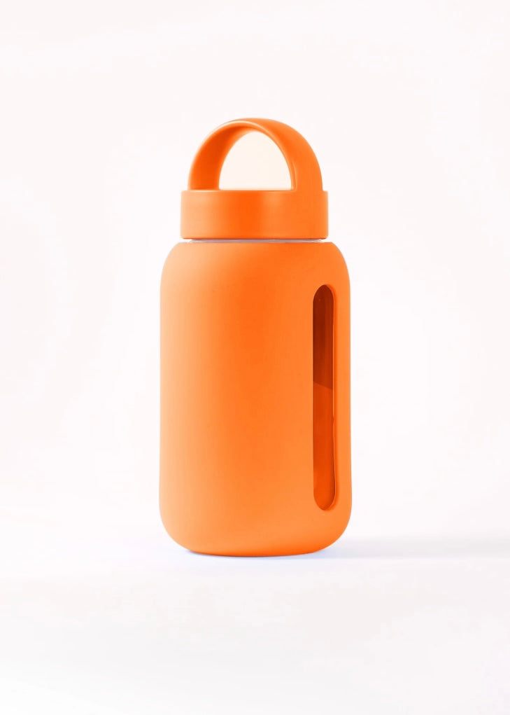 Classic Mini Bottle | 17 oz.