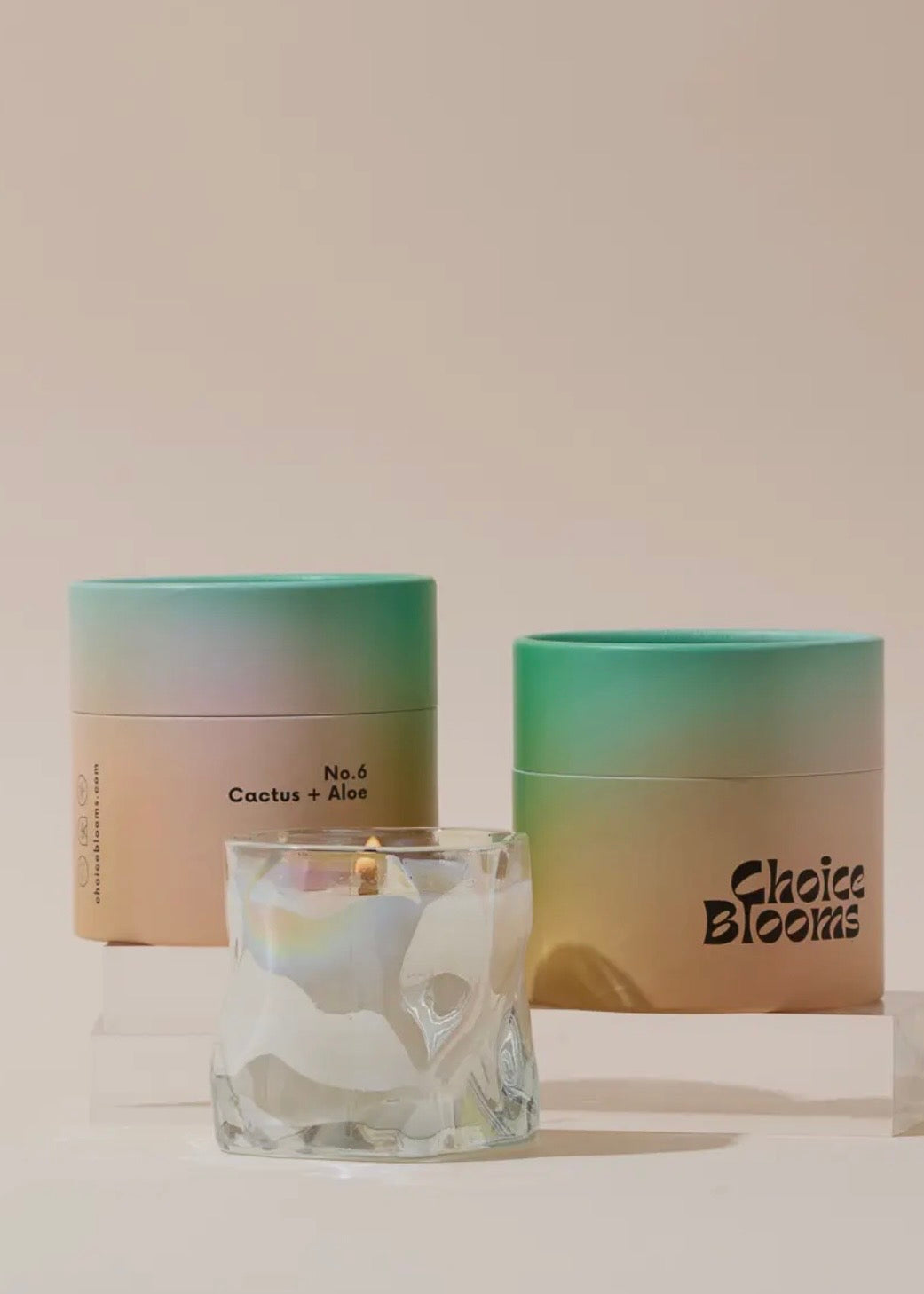 No. 6 Cactus + Aloe Candle