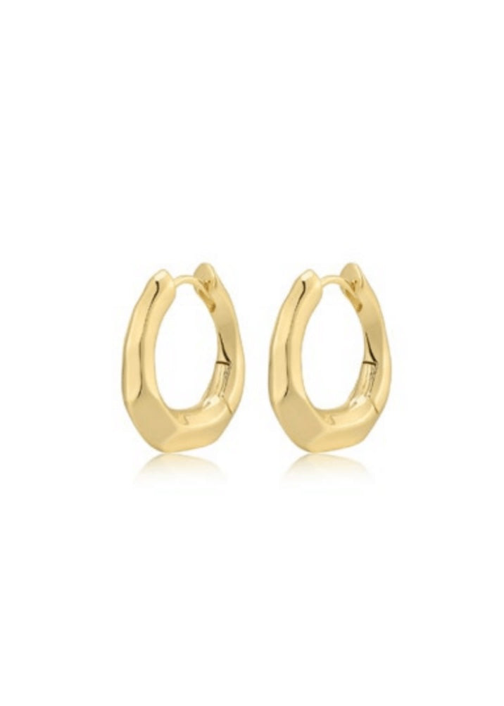 The Delphine Hoops