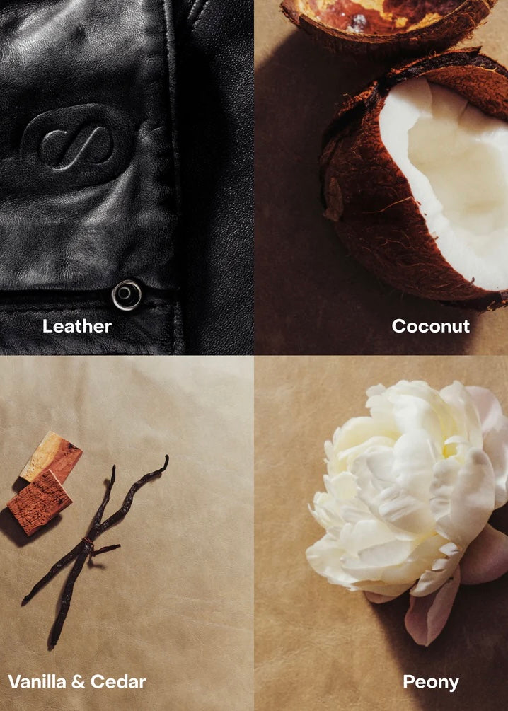 BRALESS: The Body Mist