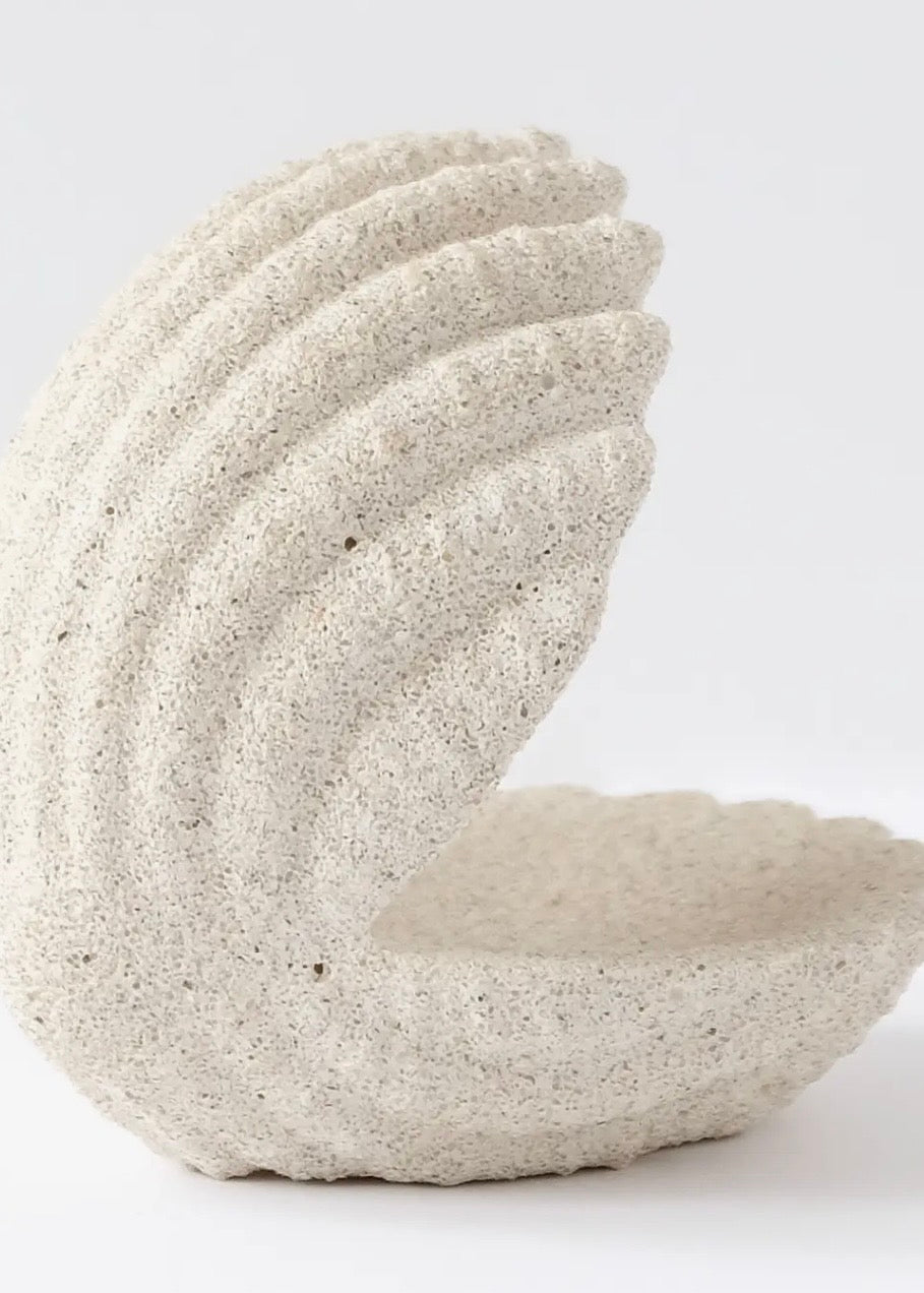 Shell Jewelry Holder