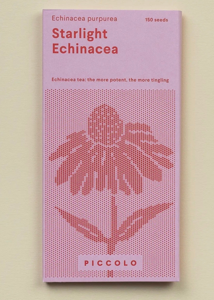 Echinacea Starlight