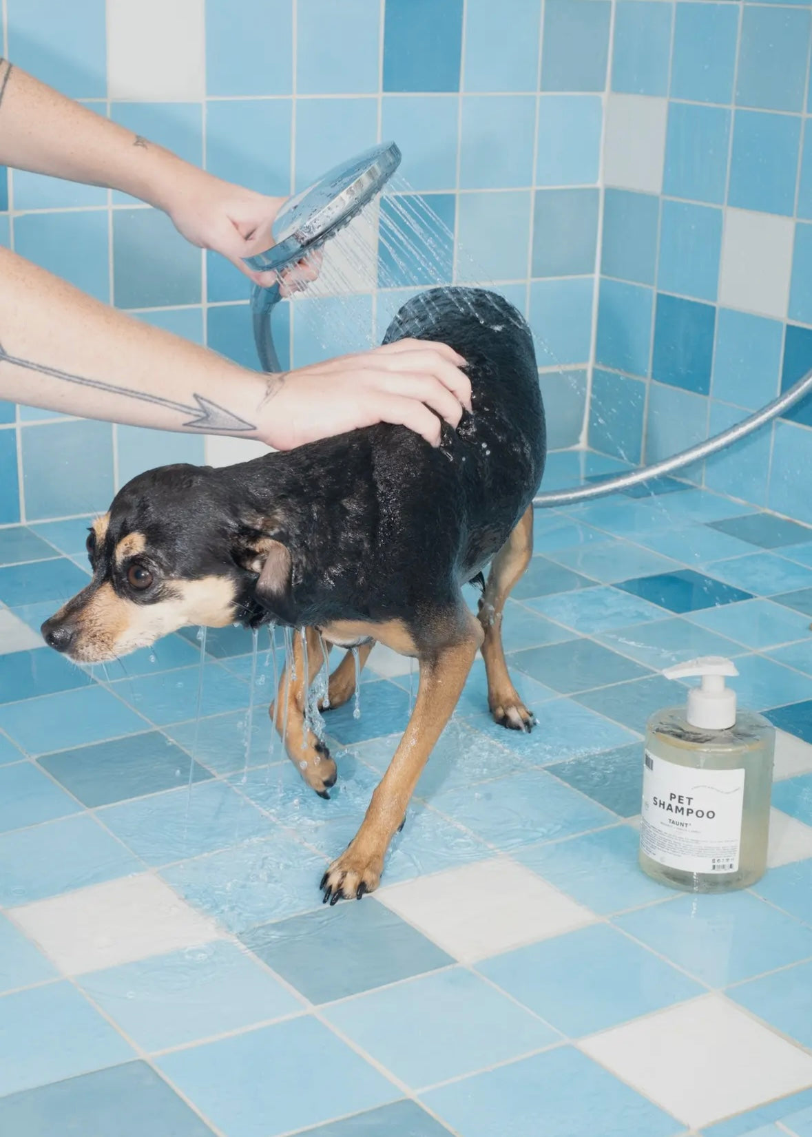Pet Shampoo