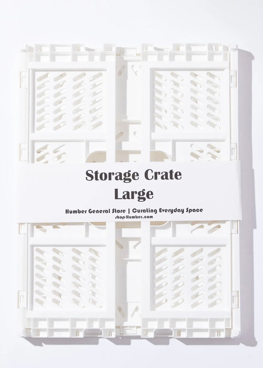 Large Color Storage Crate