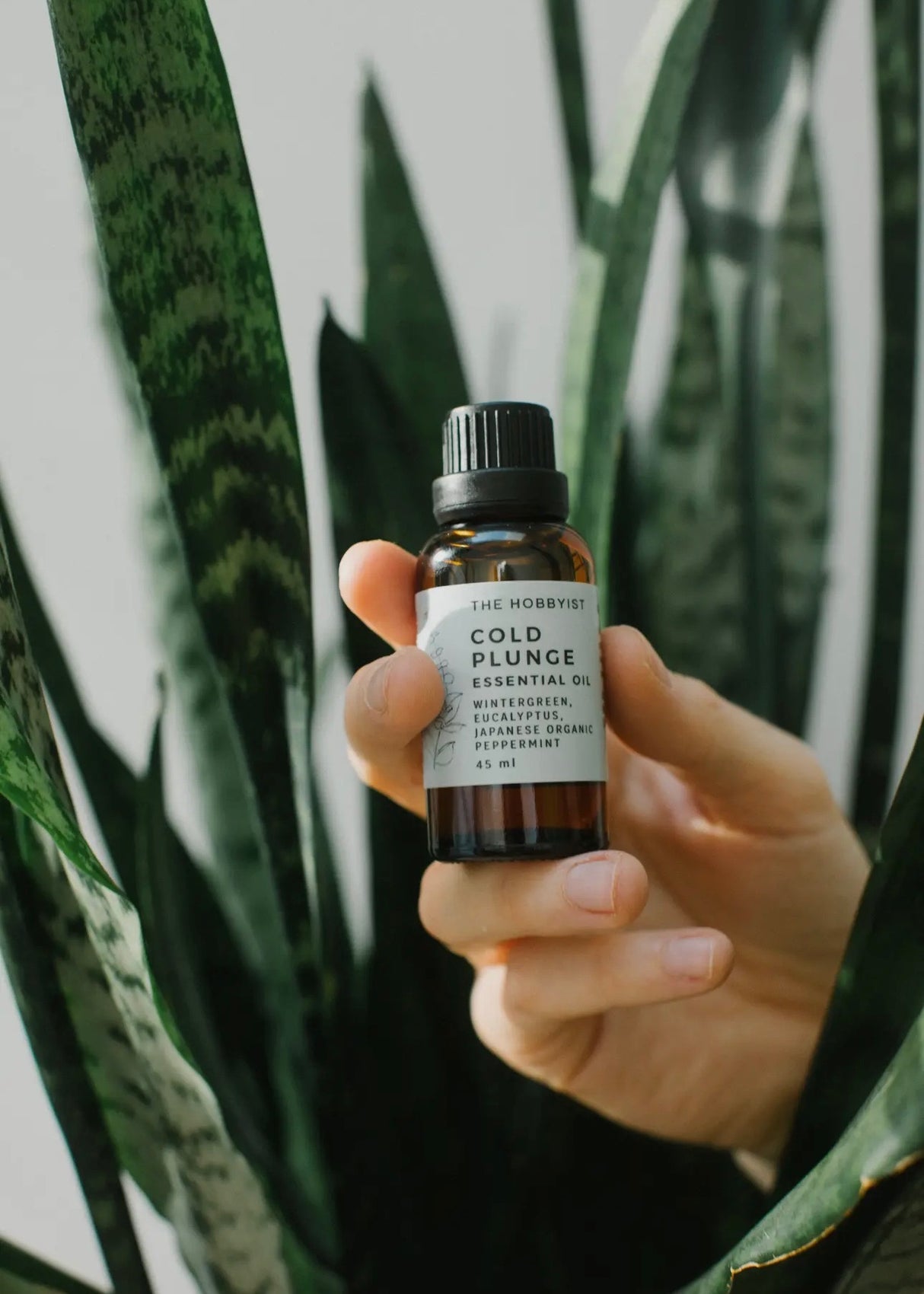 Cold Plunge Essential Oil Blend