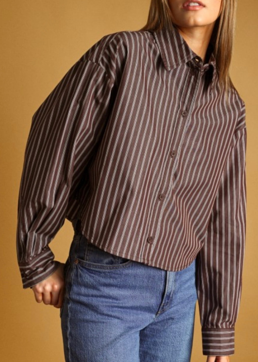Johnny Striped Button Front Crop Shirts