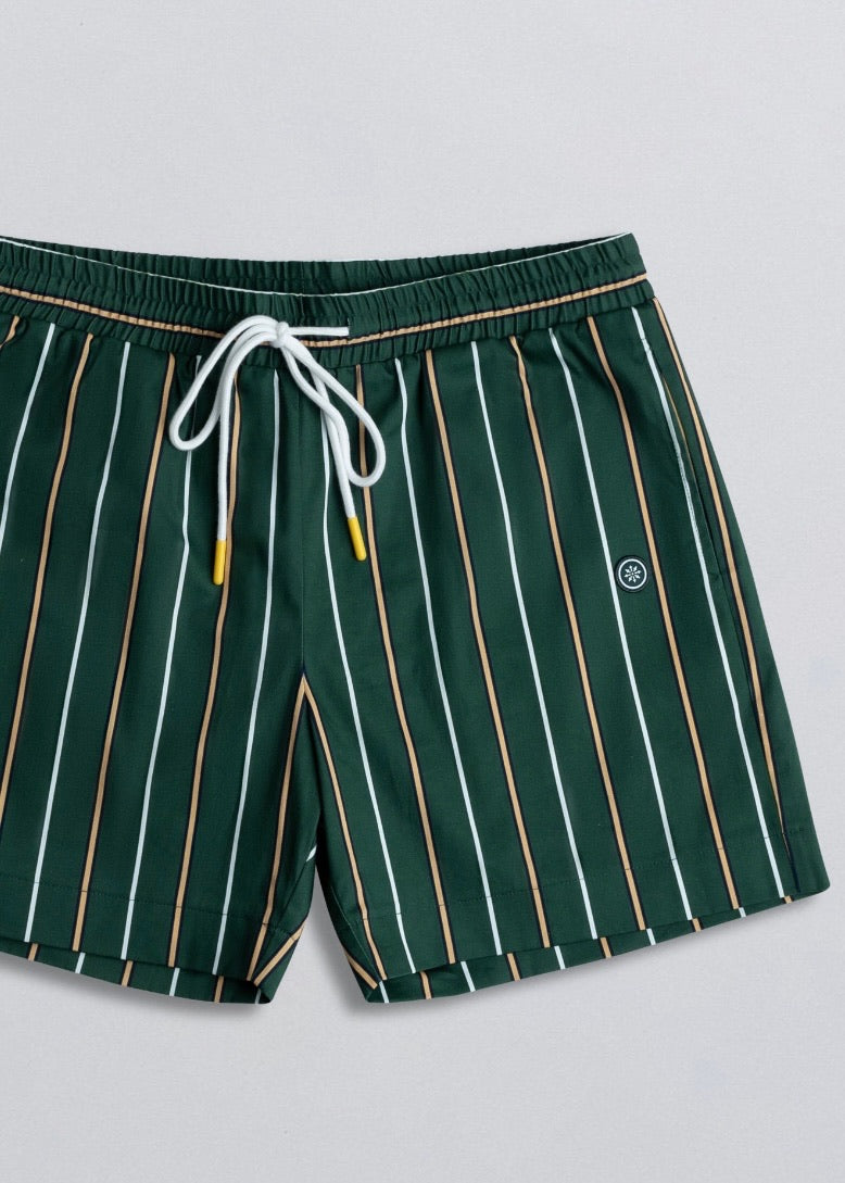 Day Shorts