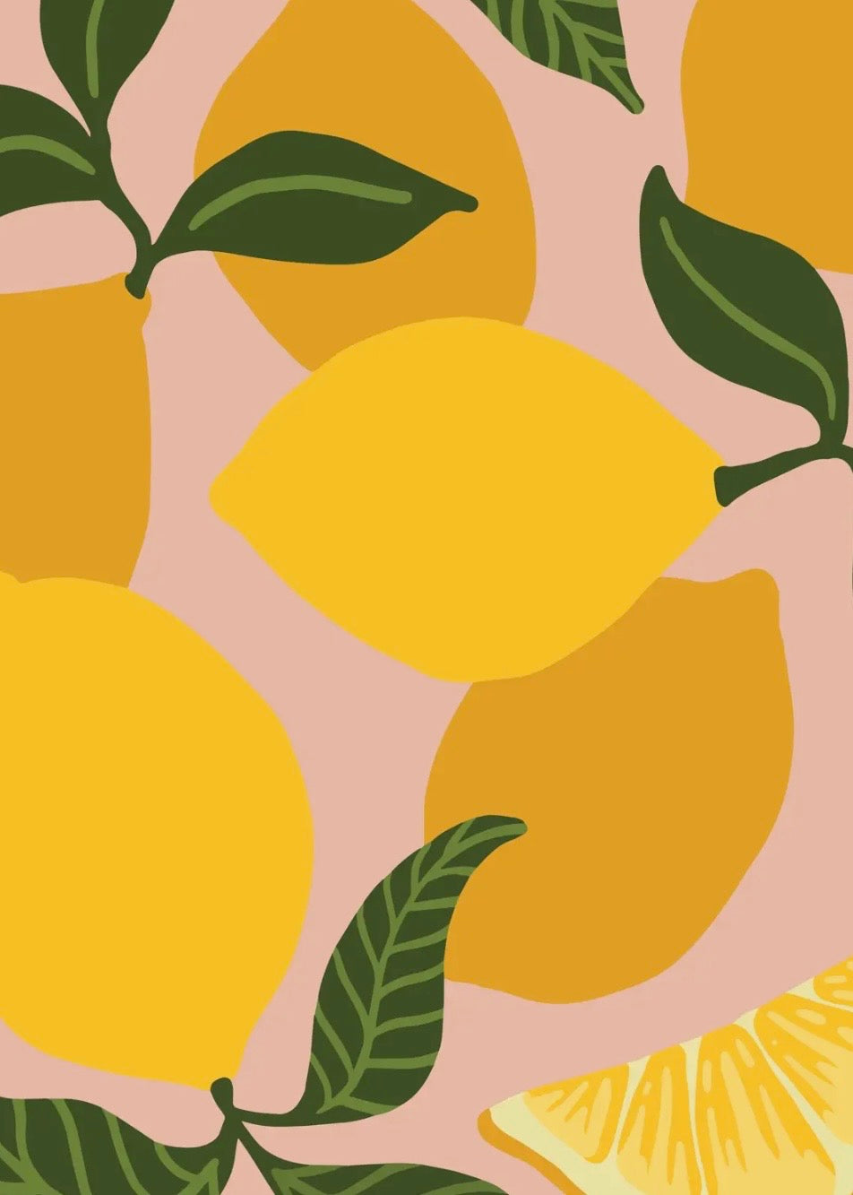 Be Zesty Paint by Numbers Kit