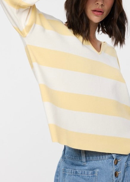 Bring me Flowers Stripe Sweater