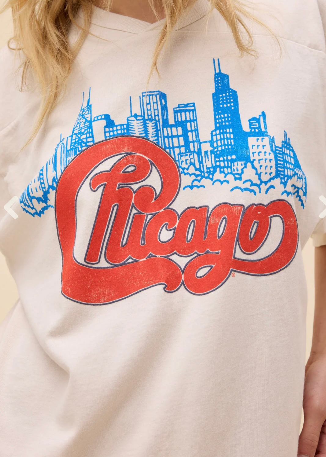 Chicago Skyline T-Shirt