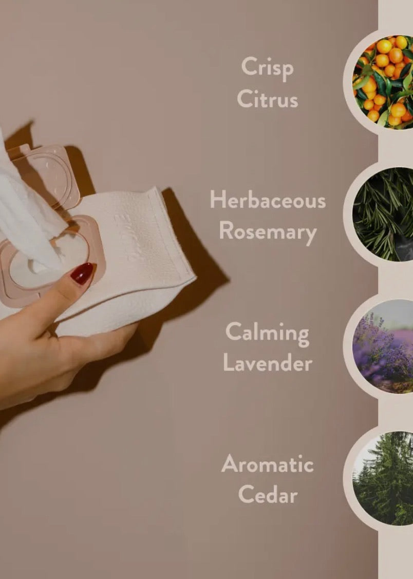 Cleansing Hand and Body Wipes