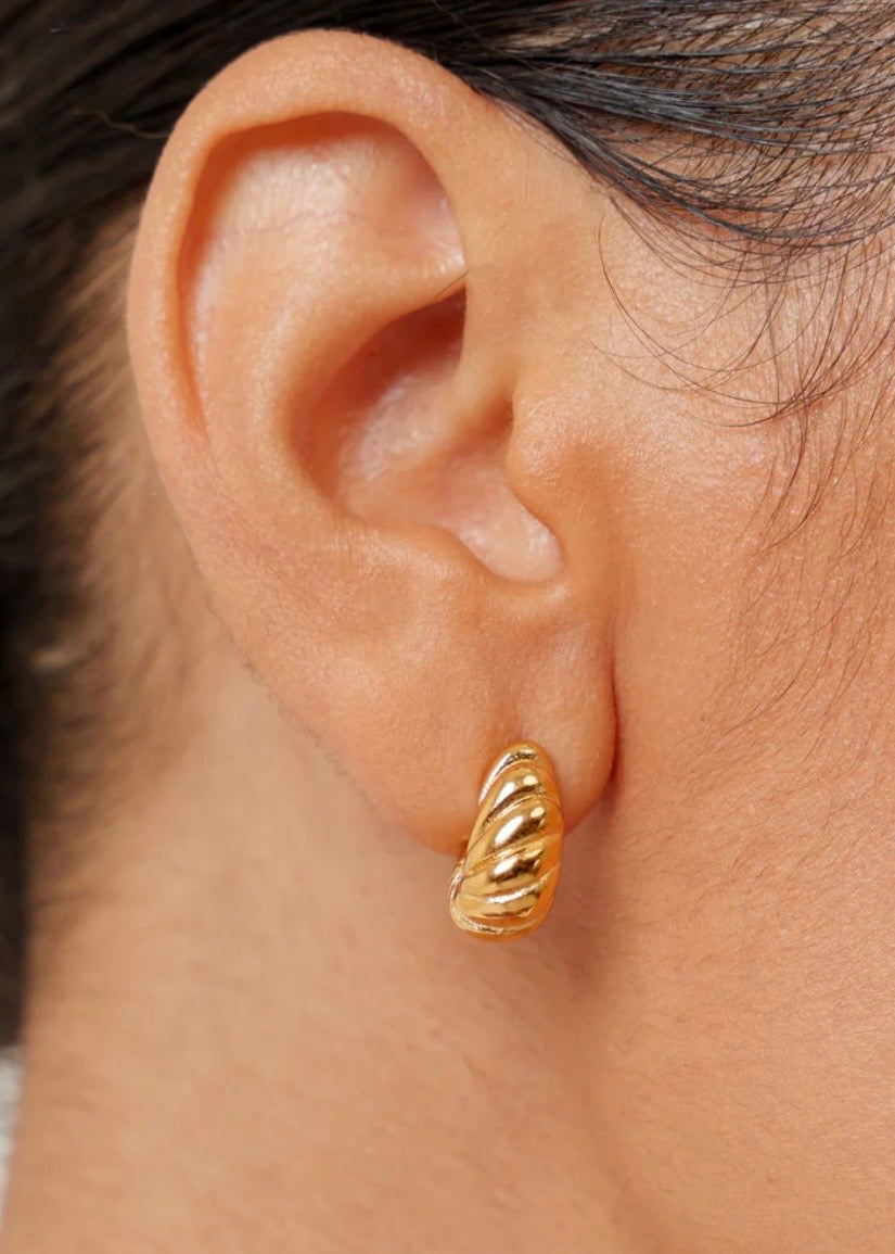 Nautilus Earrings
