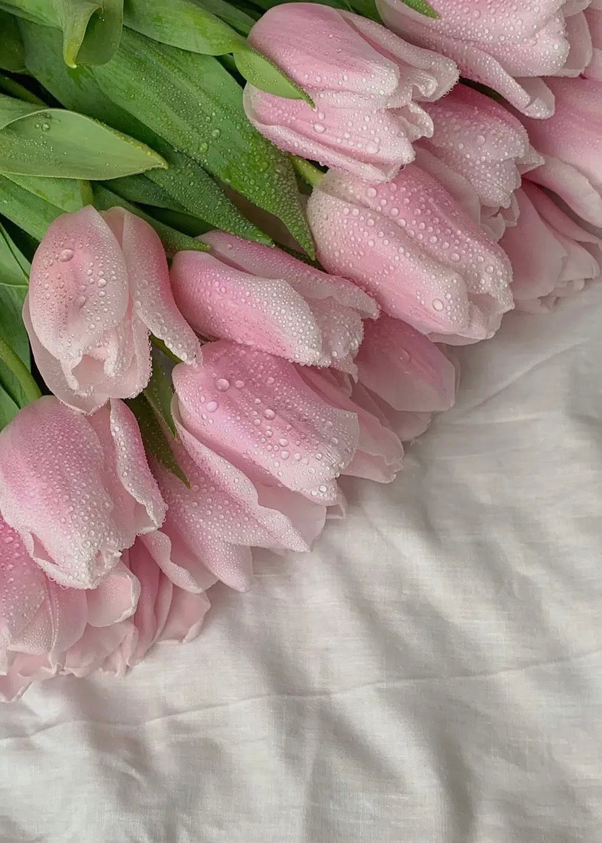 Clean Laundry Push Scent Refill