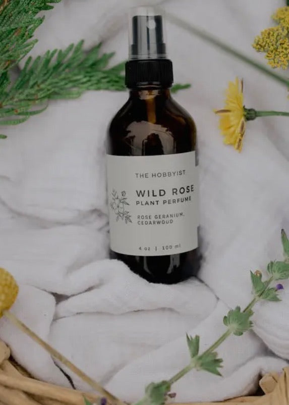 Wild Rose Plant Perfume