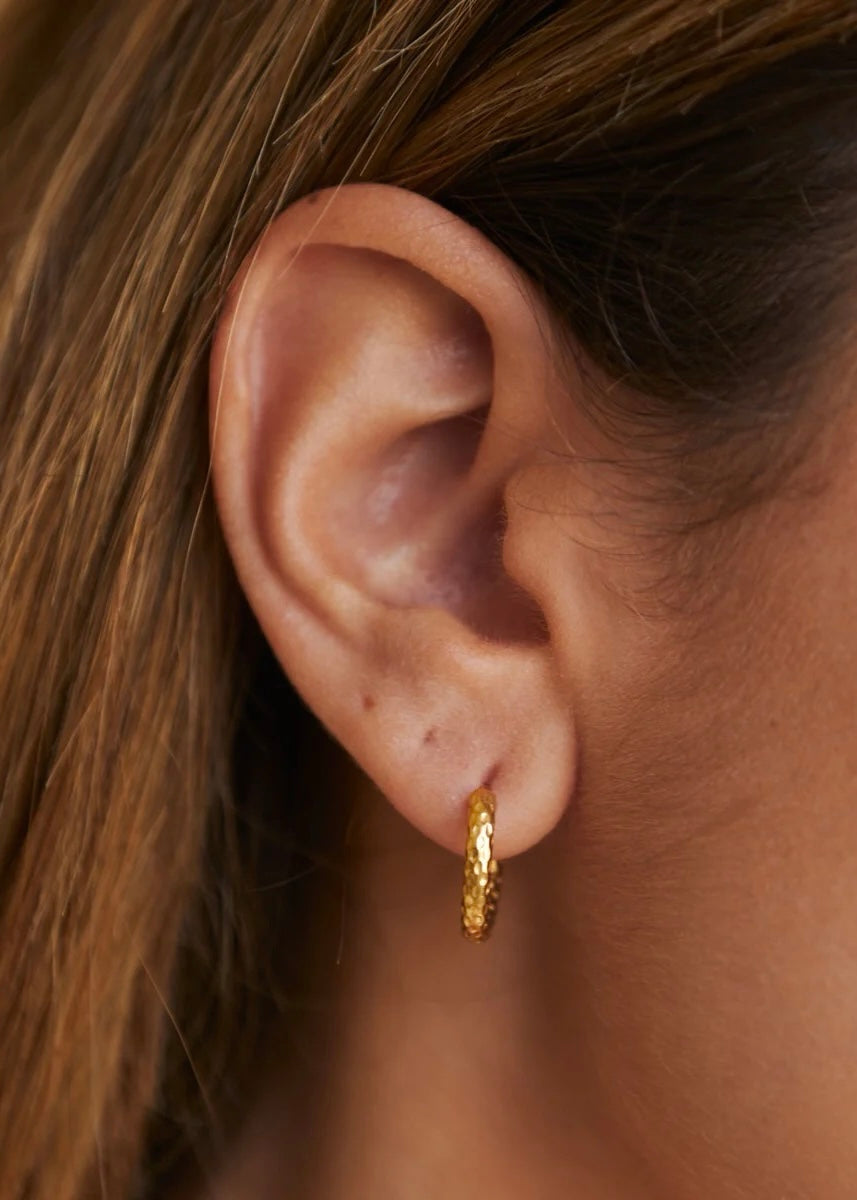 Hammered Hoops Earrings