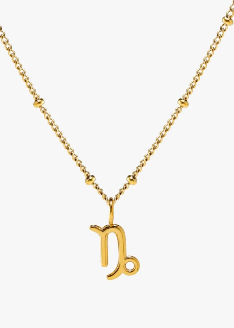 Zodiac Necklace