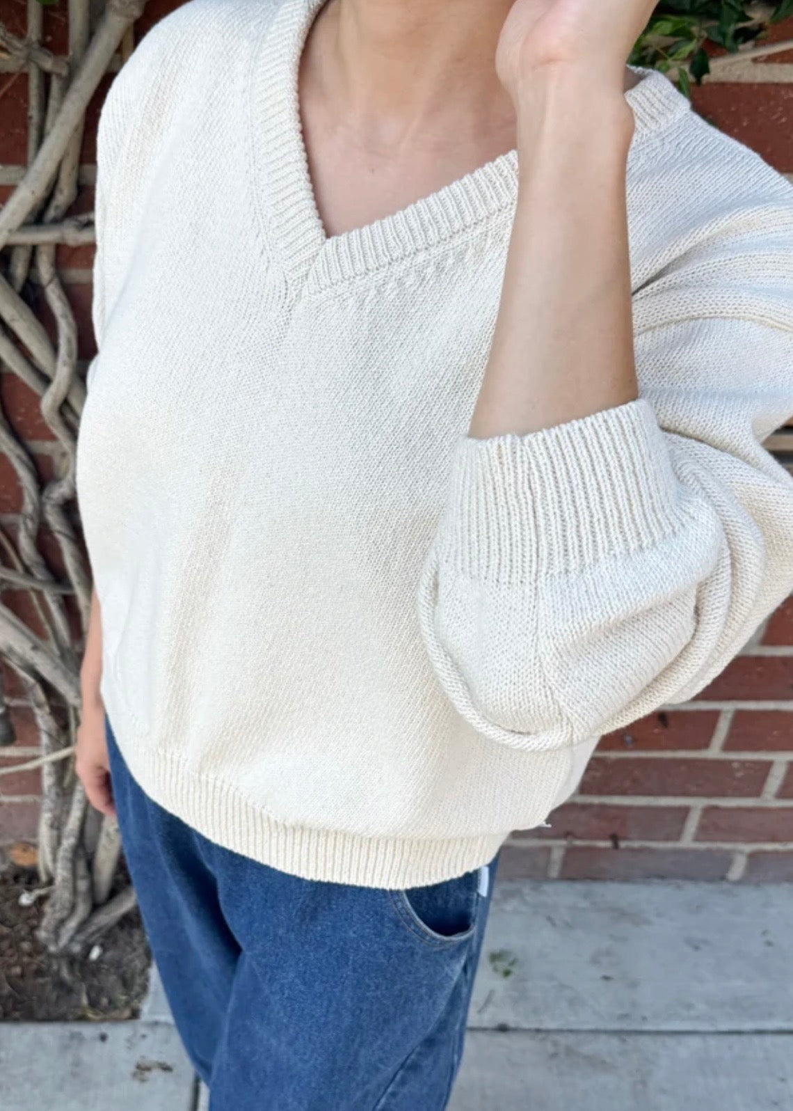*pre-order Abby Cotton V-Neck Sweater