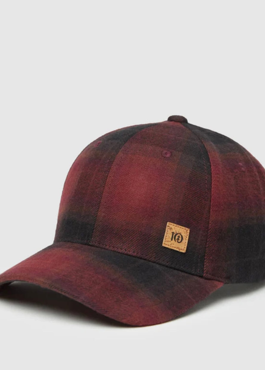 Forest Cork Icon Elevation Hat