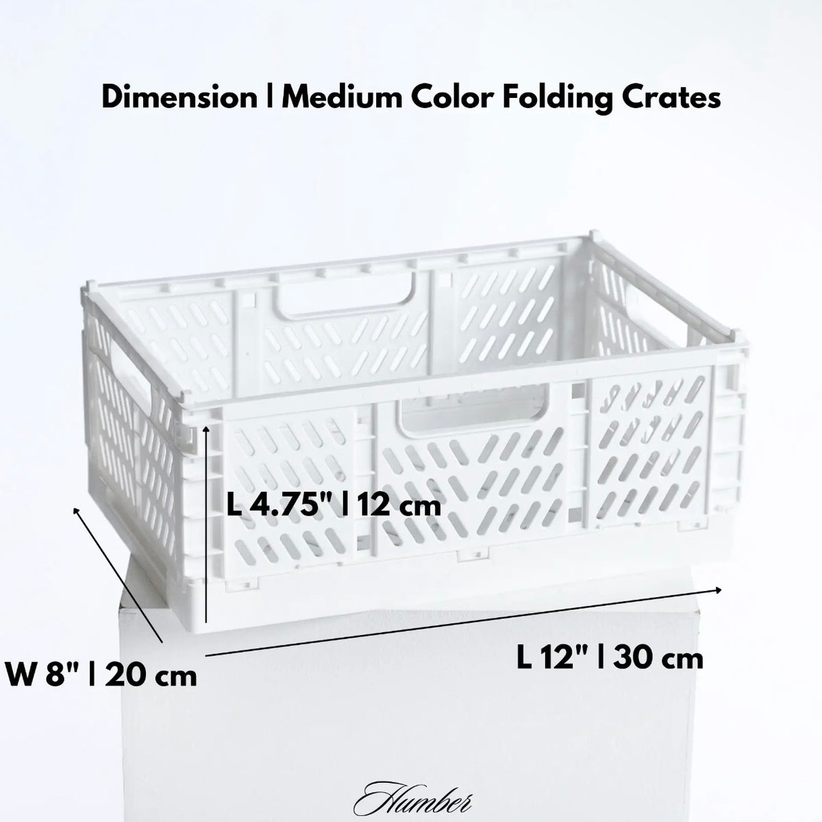 Medium Color Storage Crate
