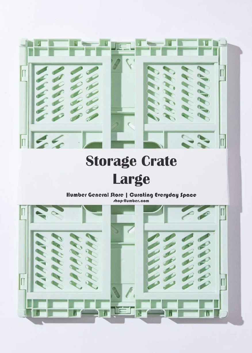Large Color Storage Crate