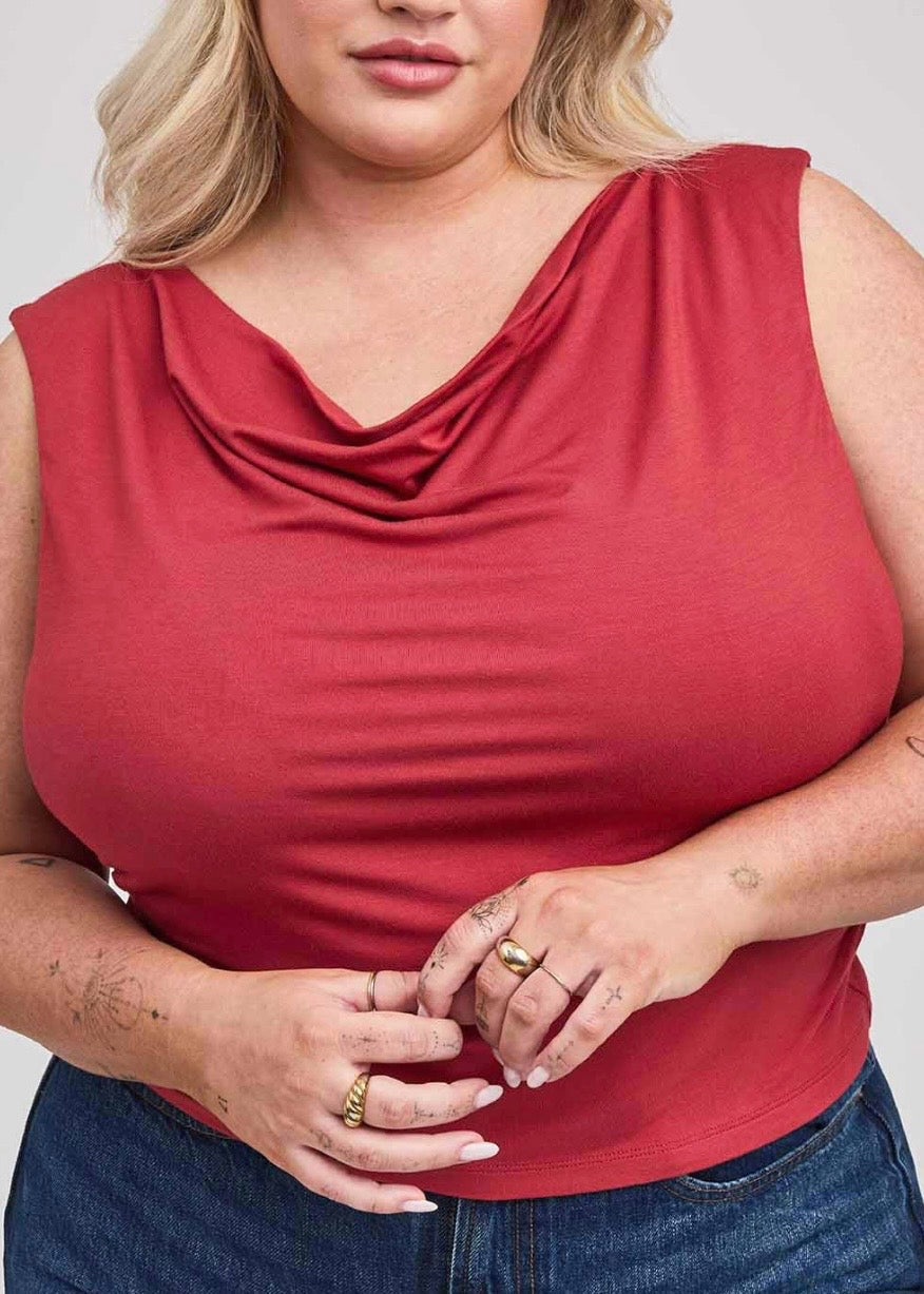 Cassidy Cowl Neck Top