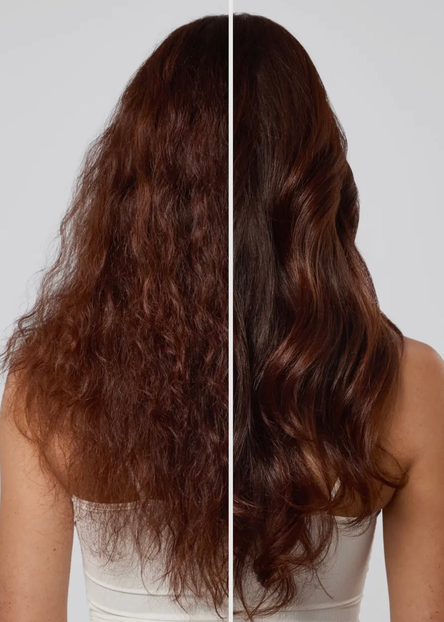 Repairing Argan Oil Shampoo