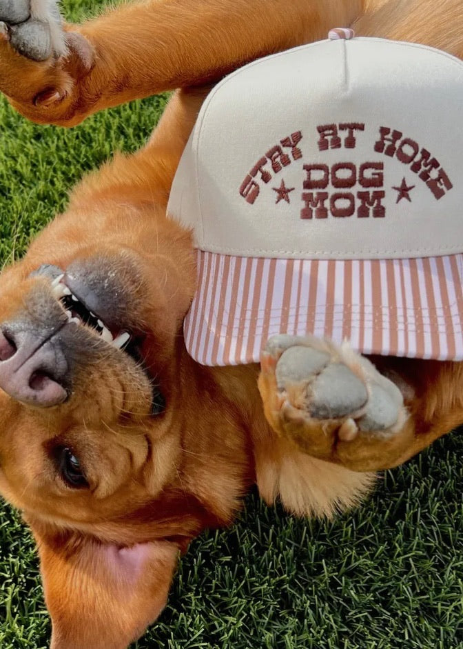 Stay Home Dog Mom Hat