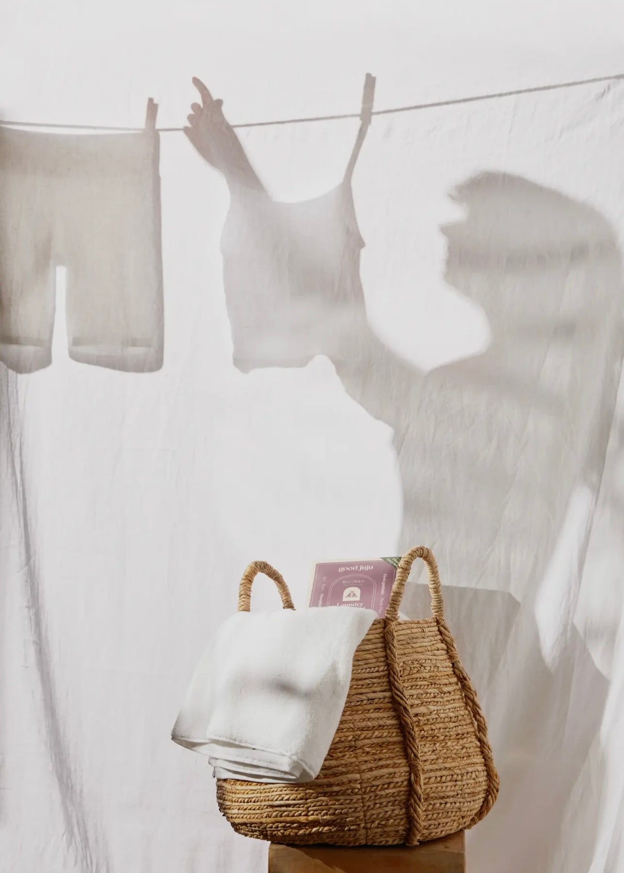 Laundry Detergent Sheets in Lavender Bloom