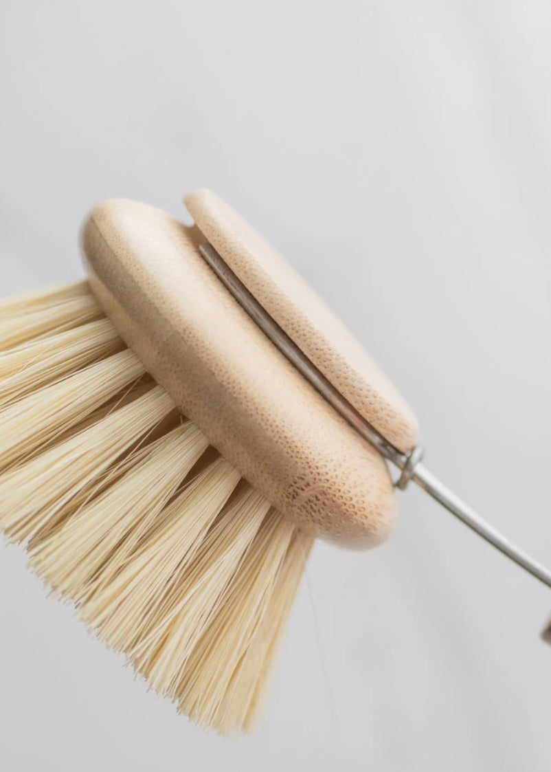 CASA AGAVE® Long Handle Dish Brush