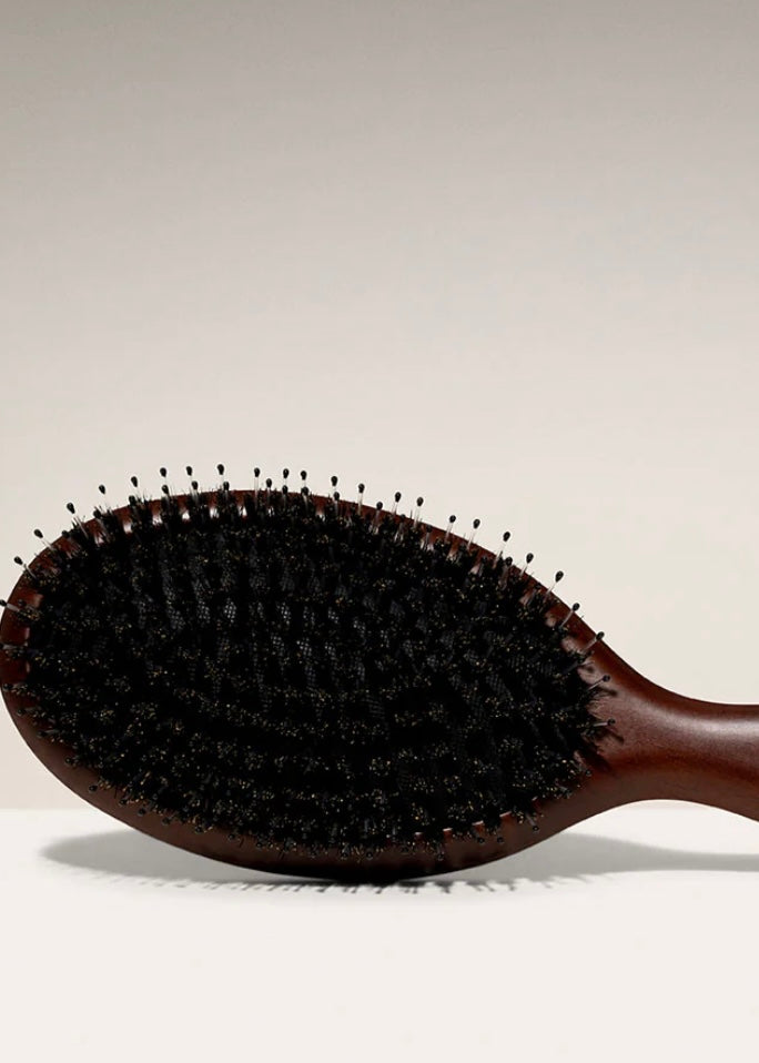 Detangling Hair Brush