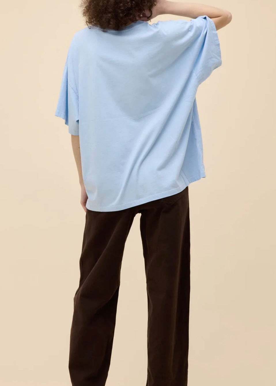 Johnny Cash American Rebel