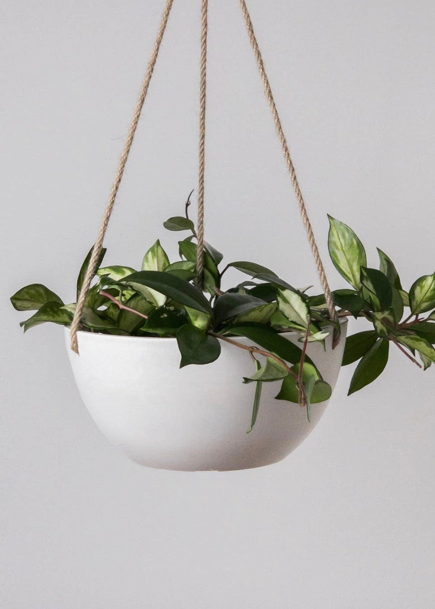12" Rounded Signature Stone Hanging Planter