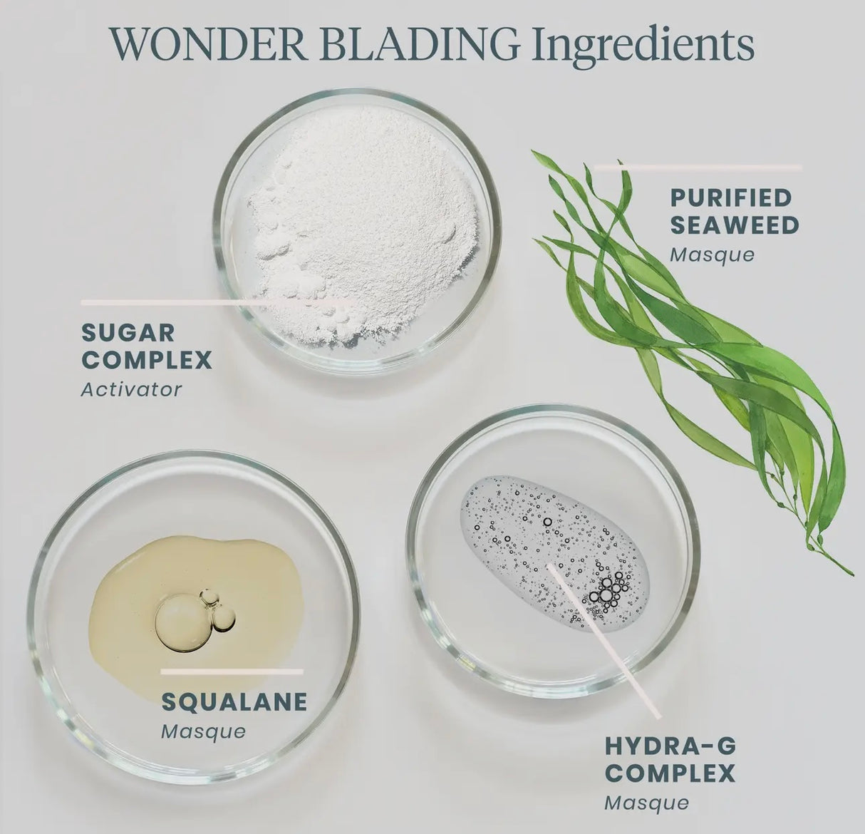 Wonder Blading Peel & Reveal Lip Color Kit