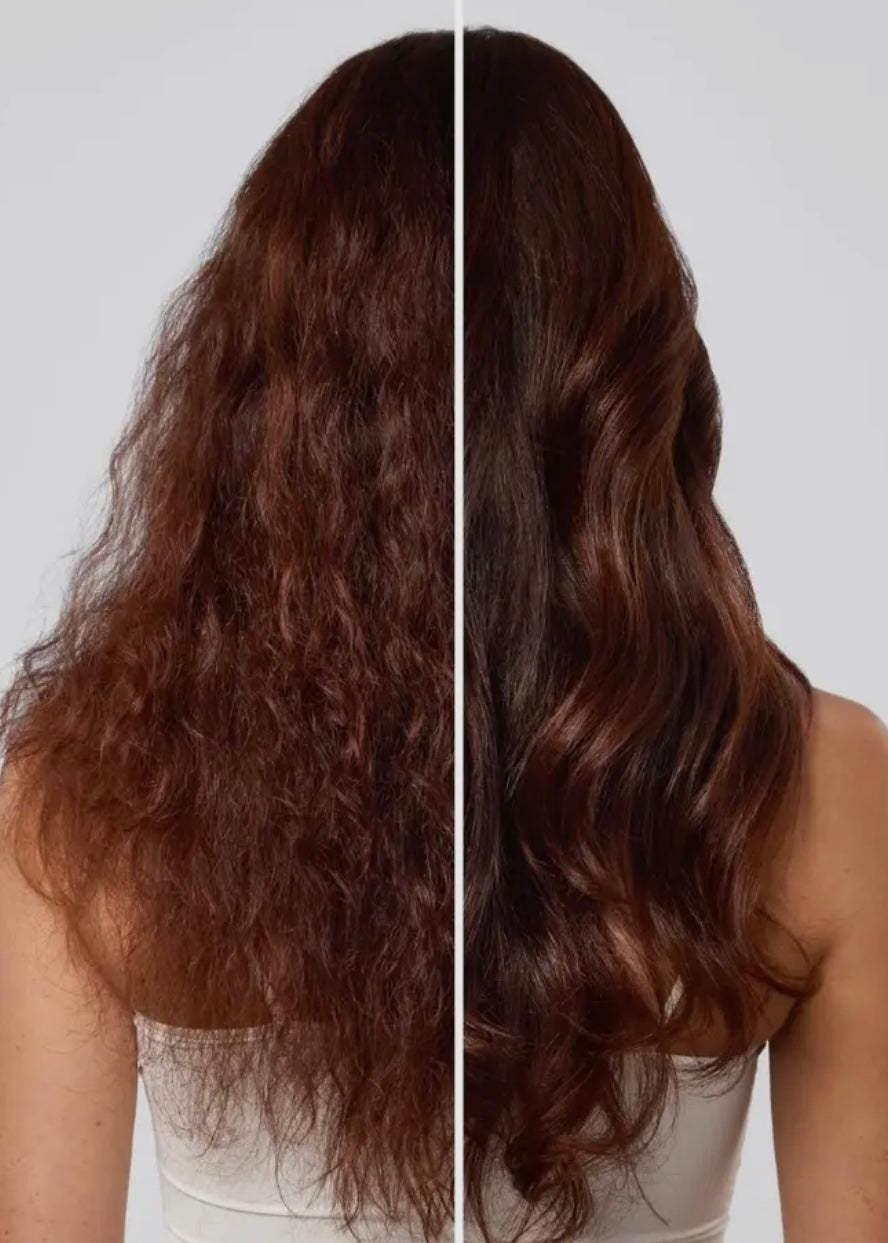 Repairing Argan Oil Conditioner