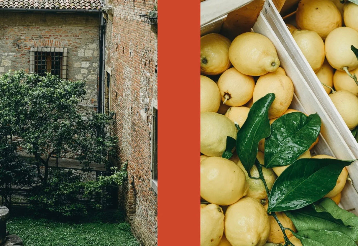 La Nostra Cucina Povera – Everyday Italian Eats