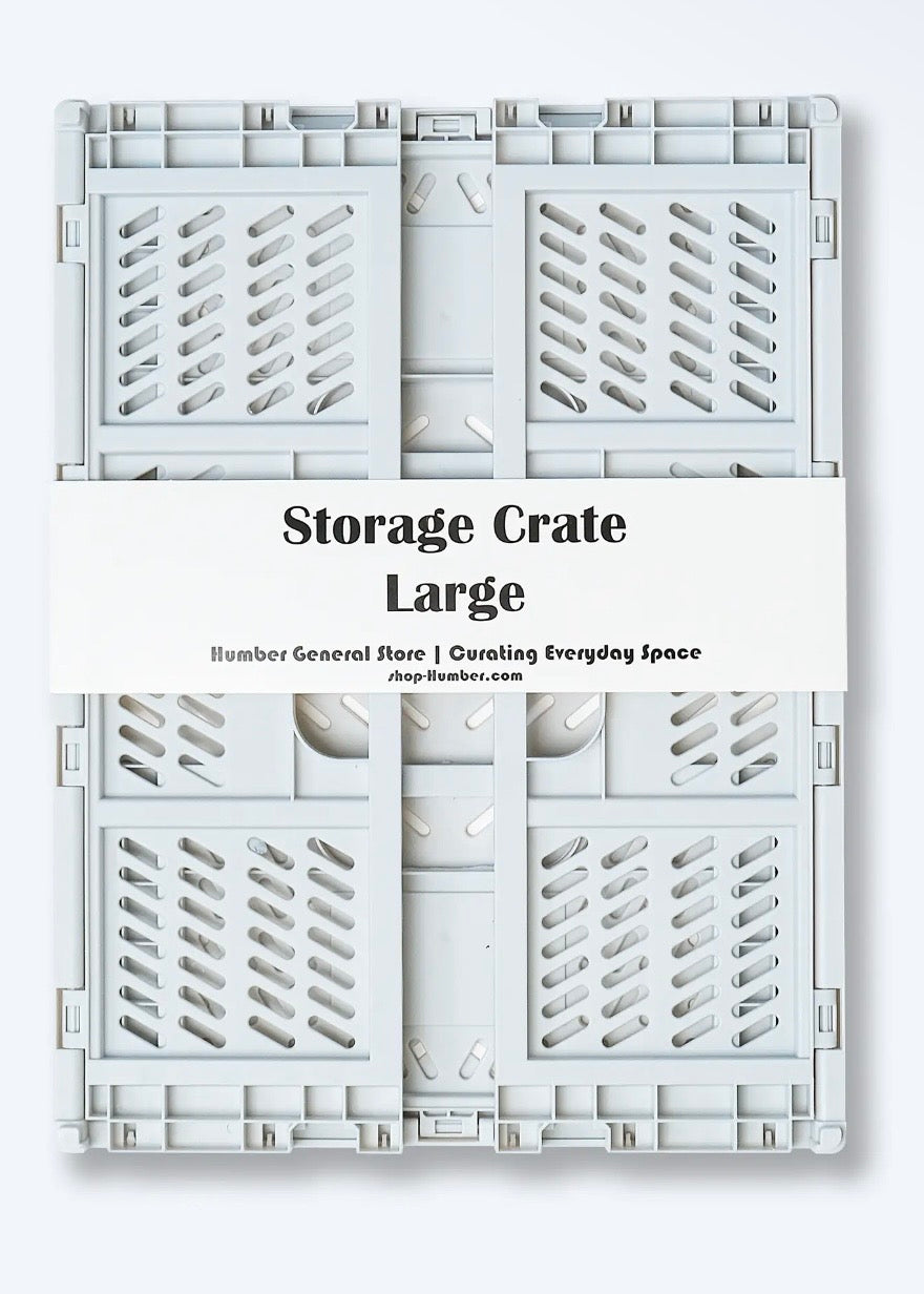 Large Color Storage Crate