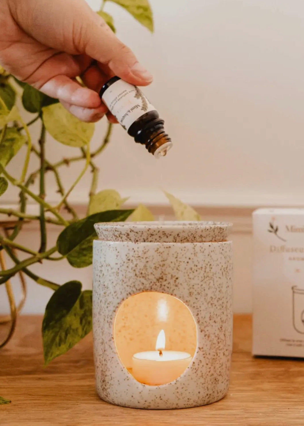 Aromatic Ceramic Diffuser