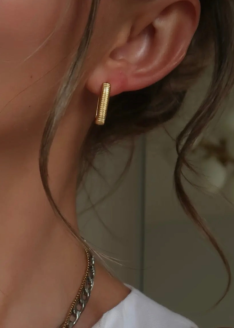 Small Ray Ribbed 2.0 Earrings