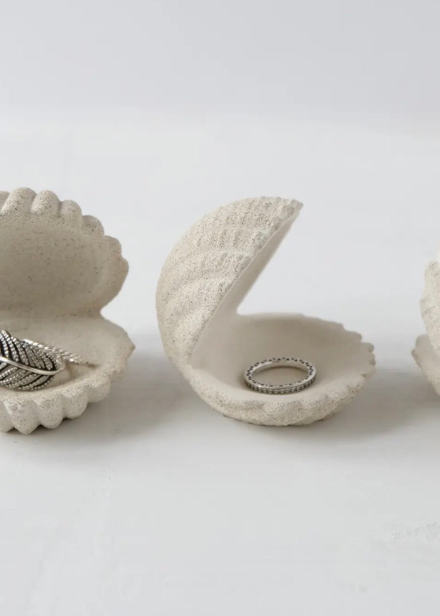Shell Jewelry Holder