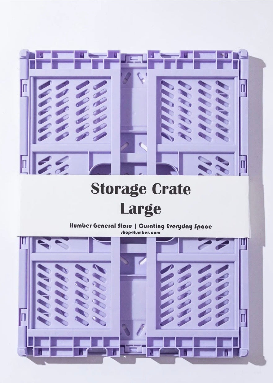 Large Color Storage Crate