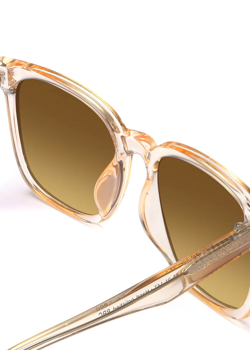 Morello Sunglasses
