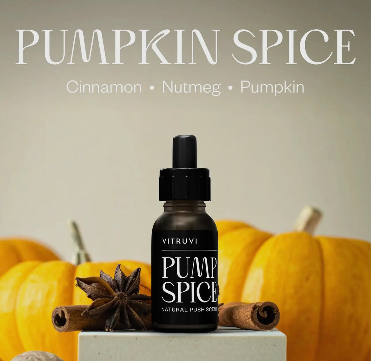 Pumpkin Spice Push Scent Refill