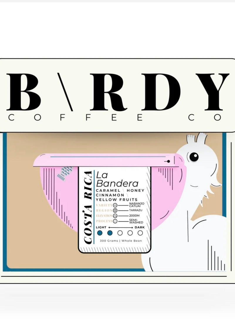 COSTA R\CA | La Bandera