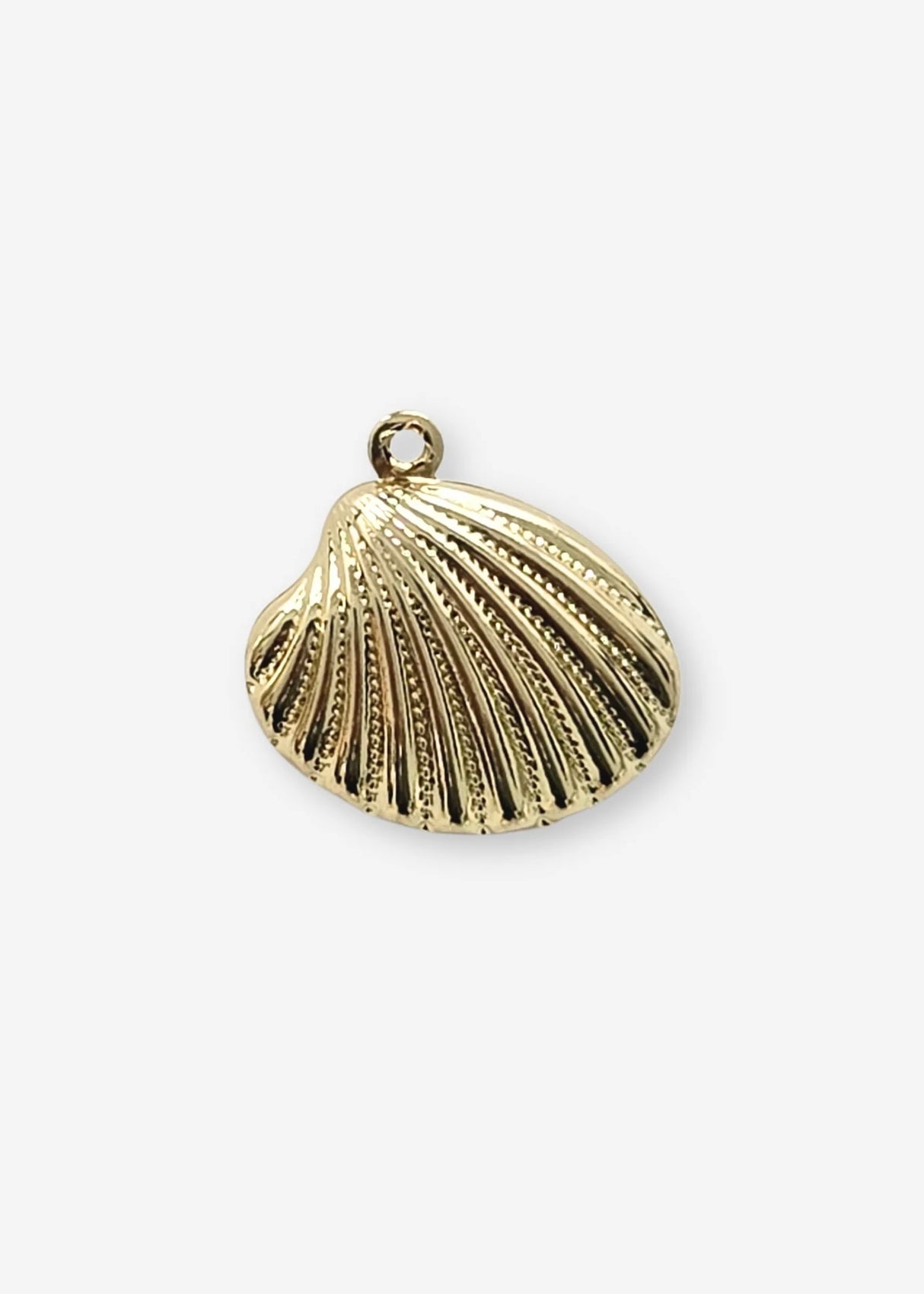 Bijou Bodega | Flat Gold Clam Shell