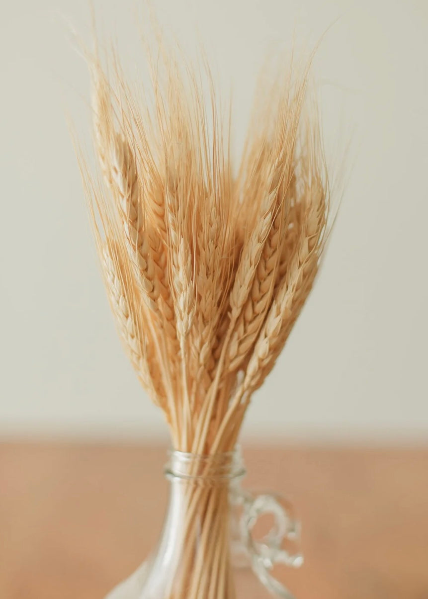 Preserved Wheat Bundle
