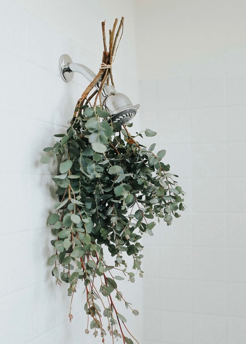 Eucalyptus Steamer Jar