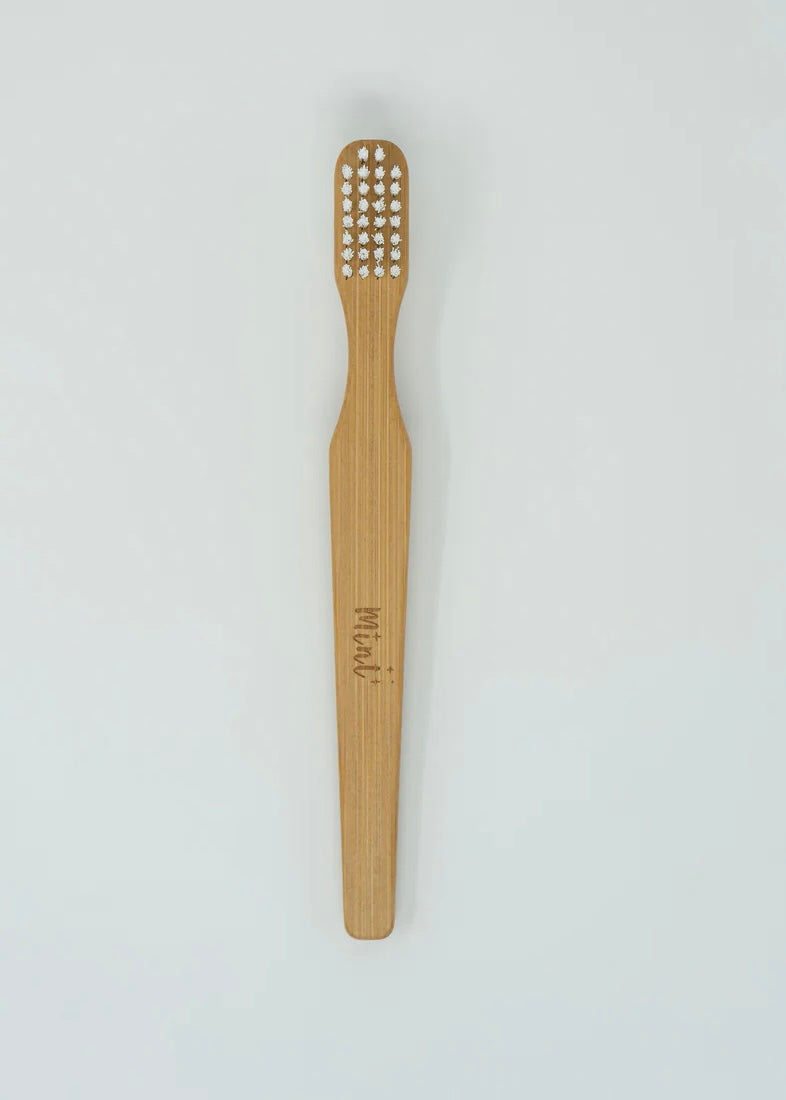 Cleaning Brush