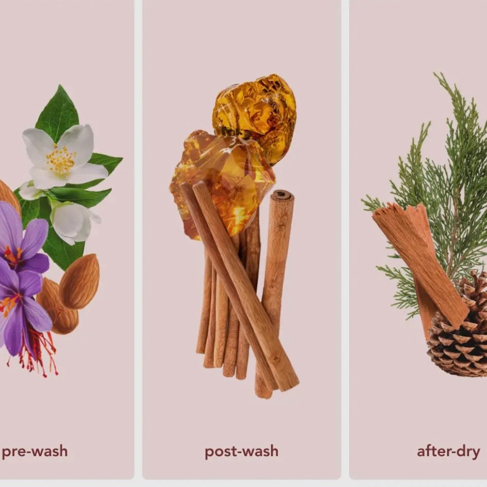 Zero Waste Laundry Detergent Sheets Amber Rouge